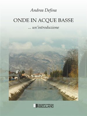 cover image of Onde in acque basse
